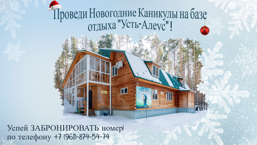 Новый банер НГ Алеус